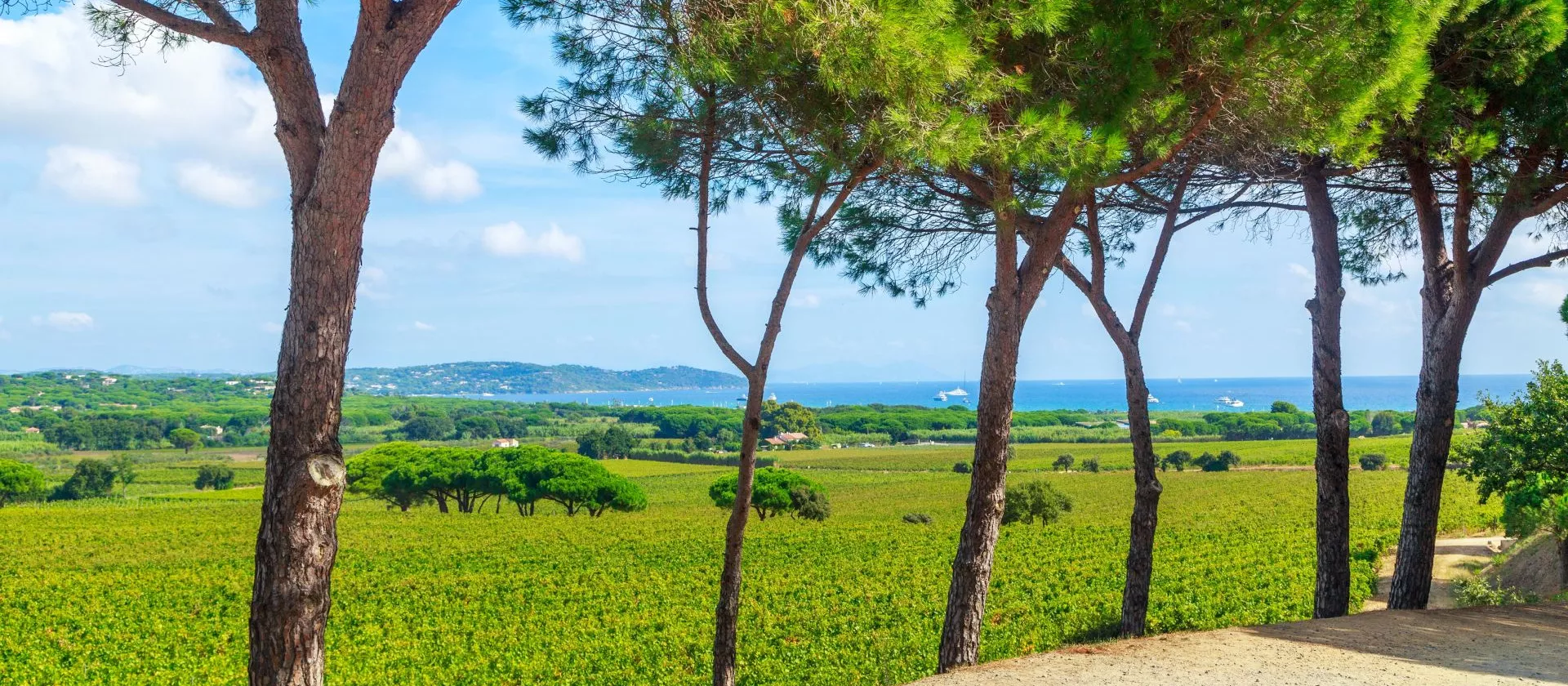 <br />
<b>Warning</b>: Undefined variable $page in <b>/home/azurwinetourscom/public_html/modules/tour/front/fiche-tour.php</b> on line <b>209</b><br />
<br />
<b>Warning</b>: Trying to access array offset on value of type null in <b>/home/azurwinetourscom/public_html/modules/tour/front/fiche-tour.php</b> on line <b>209</b><br />