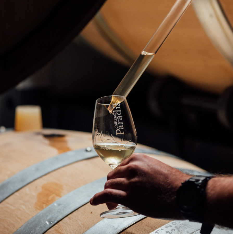 wine-tours-and-viticultural-activities-provence-french-riviera