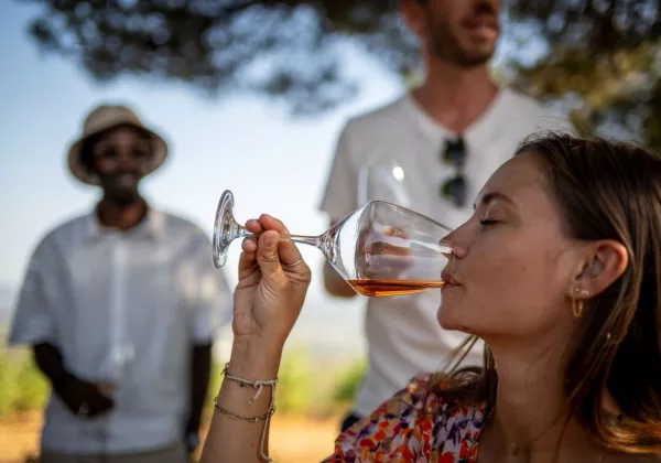 home-private-tasting-provence-prestige-rose-wines-01