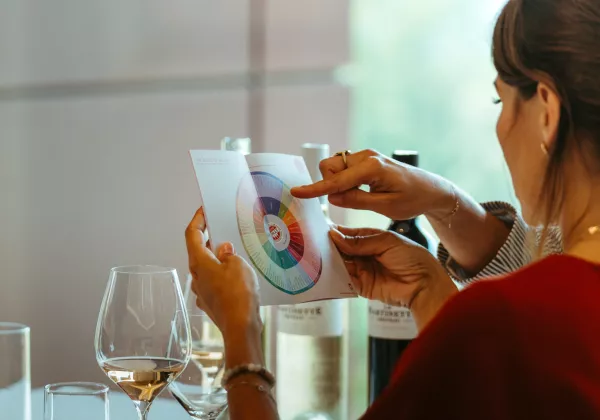 home-private-tasting-provence-prestige-rose-wines-06