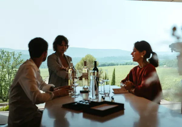 home-private-tasting-wines-cheeses-france-01