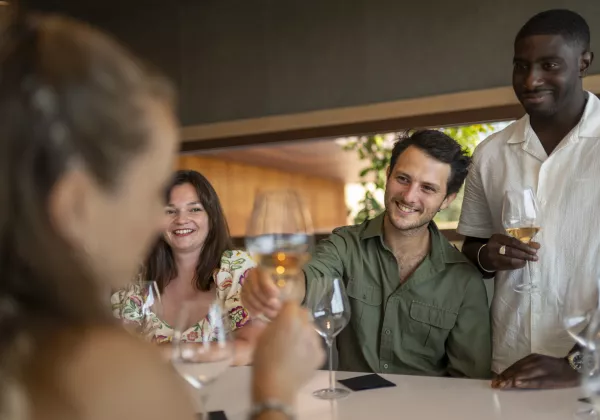 home-private-tasting-wines-cheeses-france-08