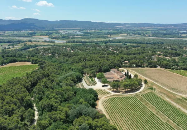 vineyards-cotes-de-provence-private-family-wine-tour-03