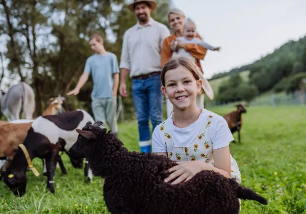 vineyards-cotes-de-provence-private-family-wine-tour-06