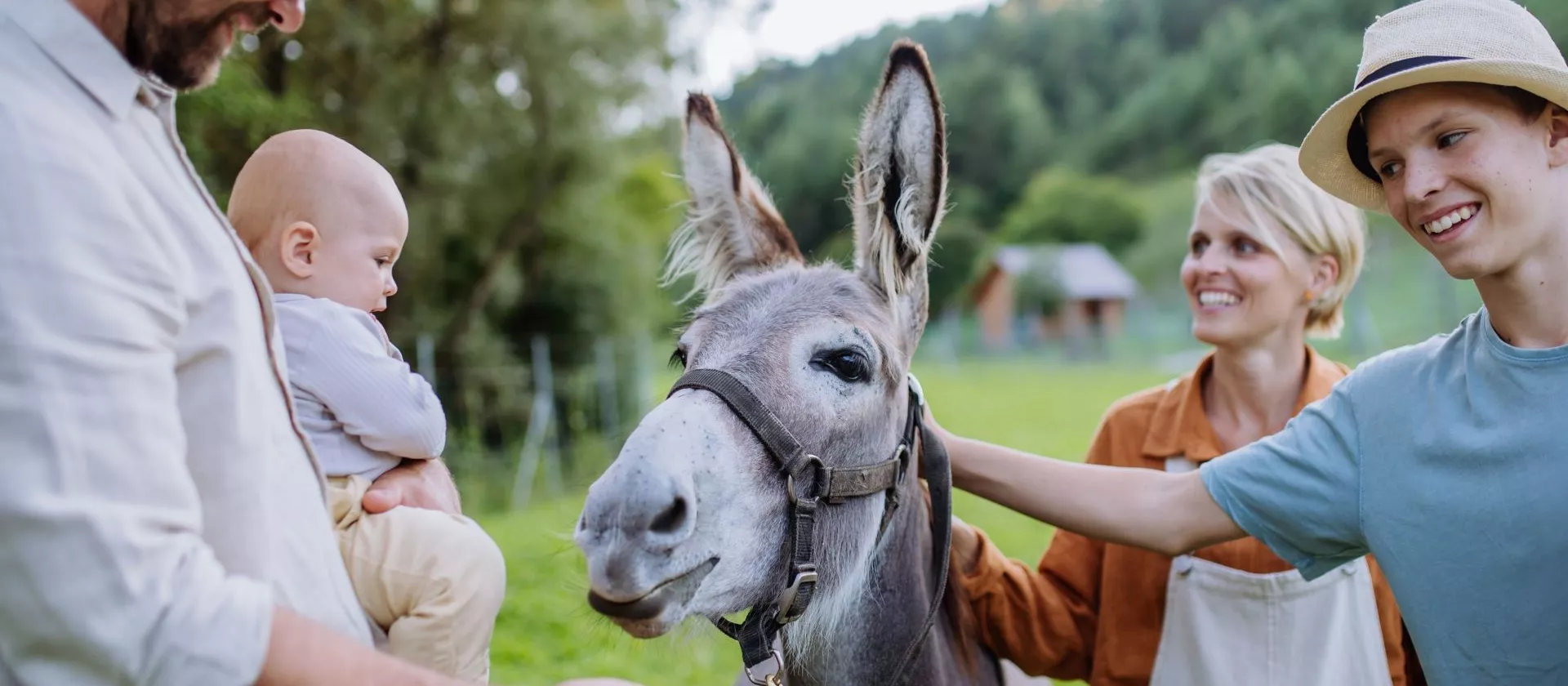 <br />
<b>Warning</b>:  Undefined variable $page in <b>/home/azurwinetourscom/public_html/modules/tour/front/fiche-tour.php</b> on line <b>209</b><br />
<br />
<b>Warning</b>:  Trying to access array offset on value of type null in <b>/home/azurwinetourscom/public_html/modules/tour/front/fiche-tour.php</b> on line <b>209</b><br />
