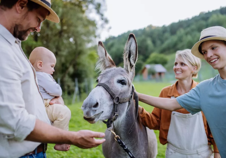 Family Farm-to-Table Day in Provence - Private Tour