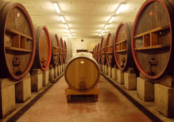 vineyards-bandol-private-wine-tour-03