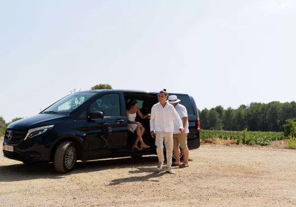 vineyards-cotes-de-provence-shared-wine-tour-nice-03