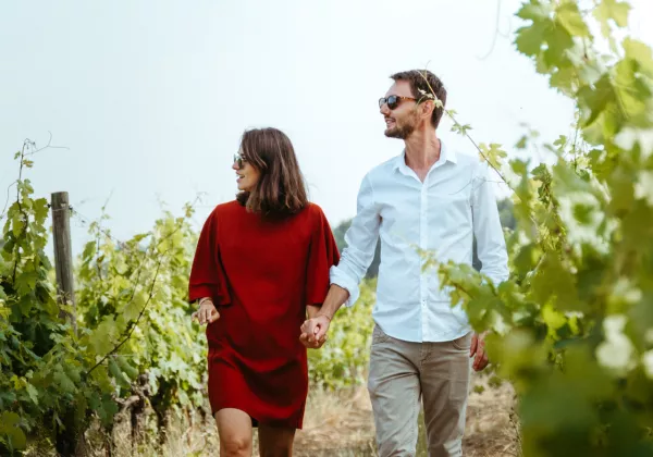 vineyards-dolceacaqua-italy-private-wine-tour-06