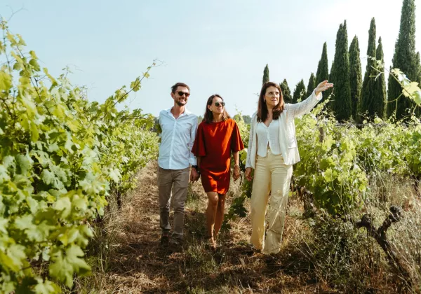 vineyards-dolceacaqua-italy-private-wine-tour-02