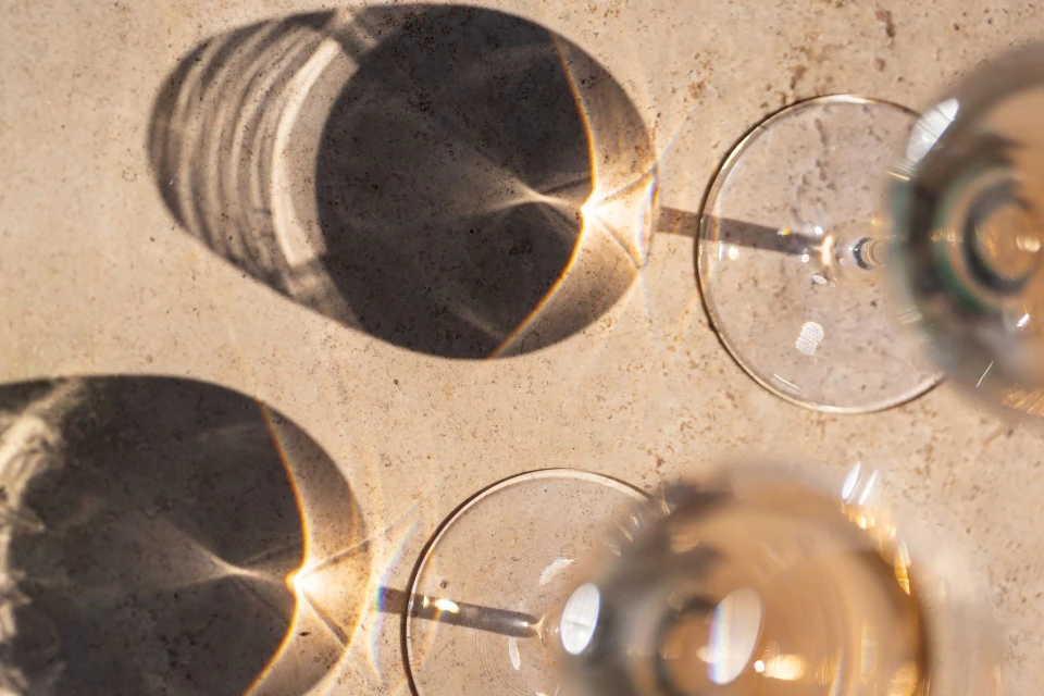 wine-tours-and-viticultural-activities-provence-french-riviera