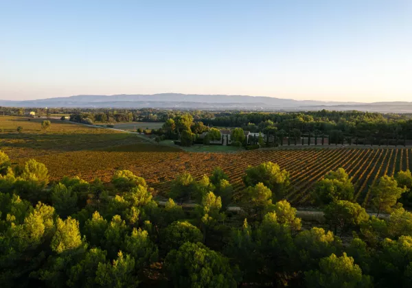 vineyards-aix-en-provence-private-wine-tour-04