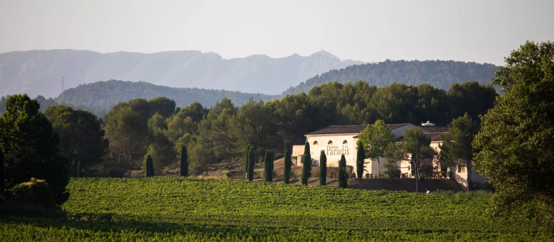 <br />
<b>Warning</b>: Undefined variable $page in <b>/home/azurwinetourscom/public_html/modules/tour/front/fiche-tour.php</b> on line <b>209</b><br />
<br />
<b>Warning</b>: Trying to access array offset on value of type null in <b>/home/azurwinetourscom/public_html/modules/tour/front/fiche-tour.php</b> on line <b>209</b><br />