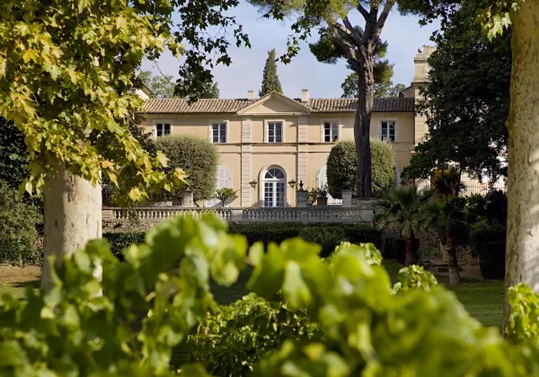 vineyards-chateauneuf-du-pape-private-wine-tour-05