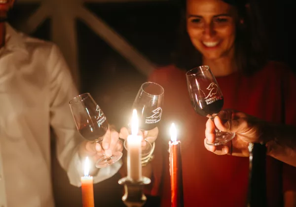 vineyards-chateauneuf-du-pape-private-wine-tour-03