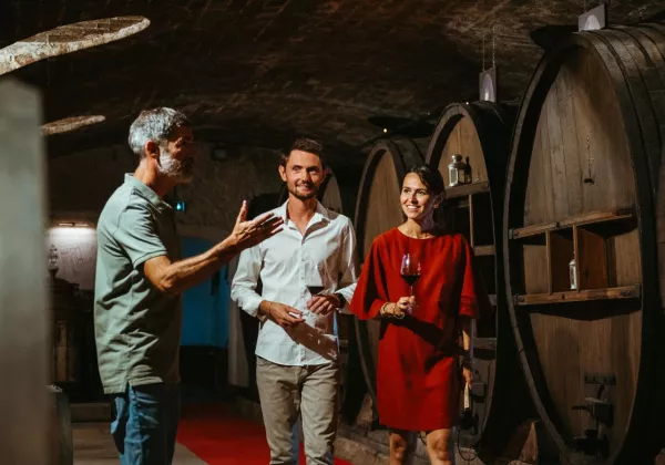 vineyards-chateauneuf-du-pape-private-wine-tour-02