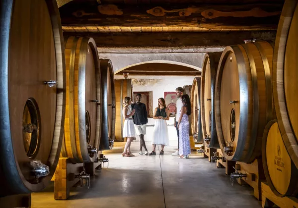 vineyards-chateauneuf-du-pape-private-wine-tour-08