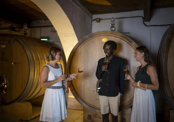 vineyards-chateauneuf-du-pape-private-wine-tour-06