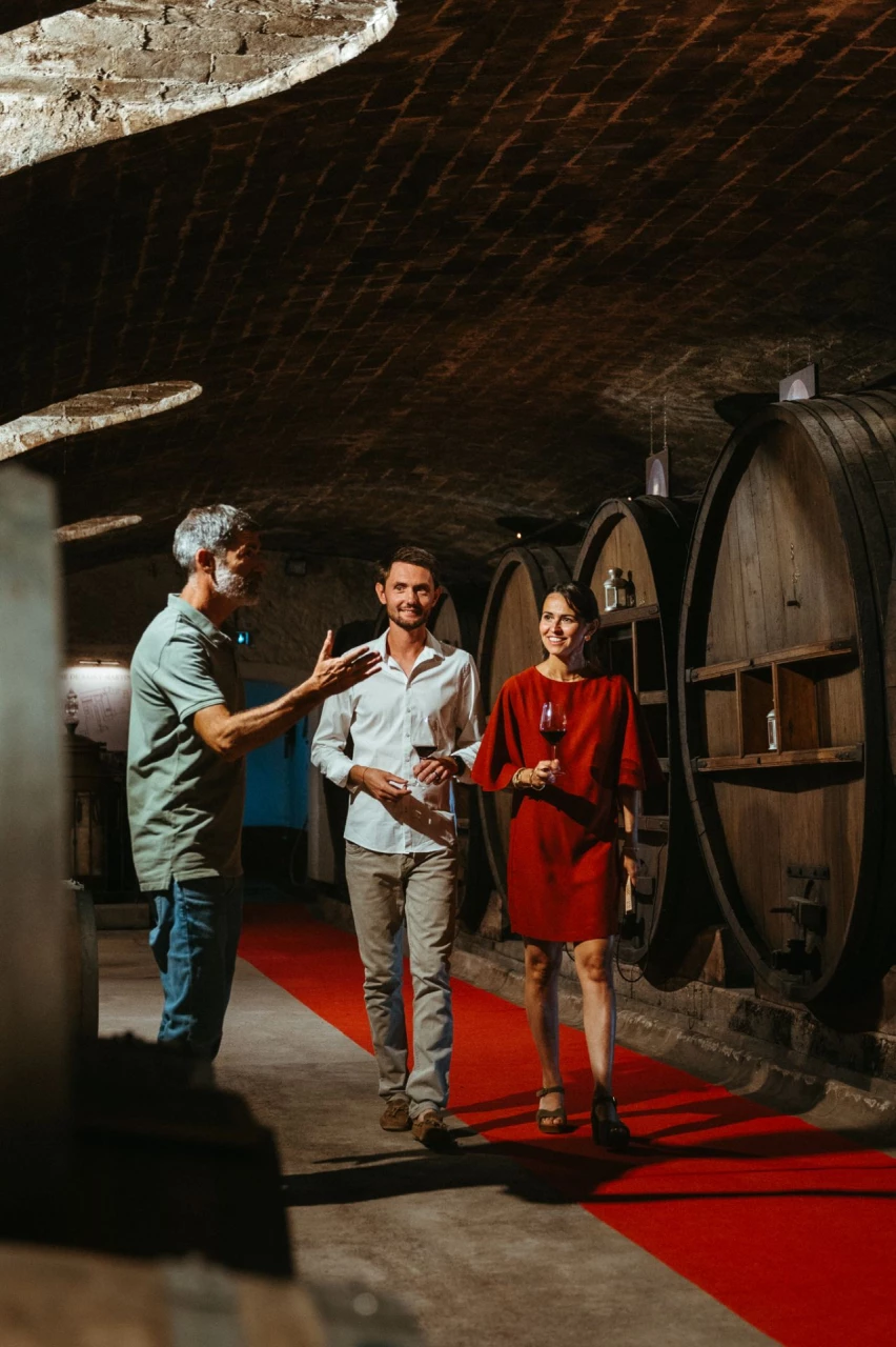 vineyards-chateauneuf-du-pape-private-wine-tour