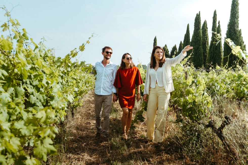 vineyards-dolceacaqua-italy-private-wine-tour