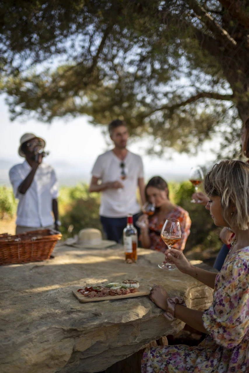 vineyards-french-riviera-private-wine-tour