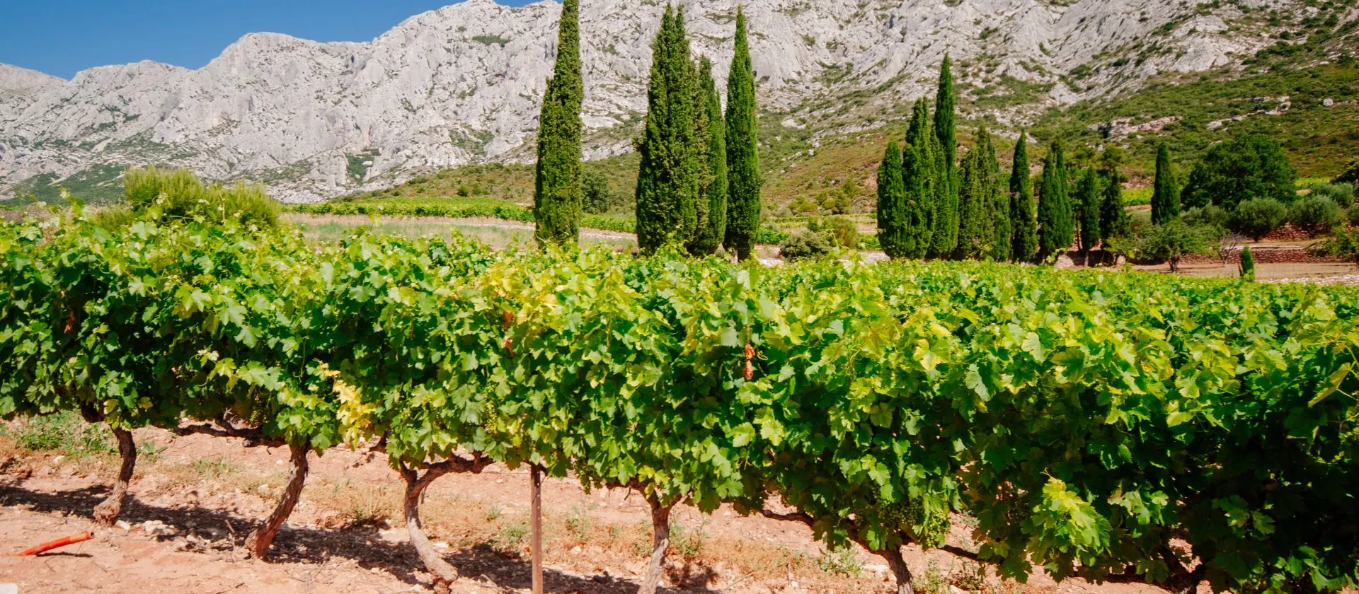 <br />
<b>Warning</b>: Undefined variable $page in <b>/home/azurwinetourscom/public_html/modules/tour/front/fiche-tour.php</b> on line <b>209</b><br />
<br />
<b>Warning</b>: Trying to access array offset on value of type null in <b>/home/azurwinetourscom/public_html/modules/tour/front/fiche-tour.php</b> on line <b>209</b><br />