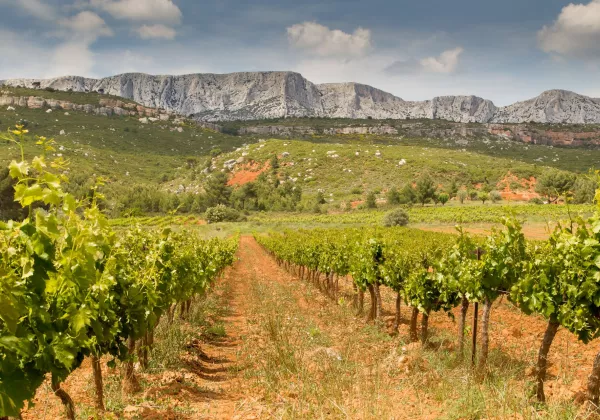 vineyards-sainte-victoire-private-wine-tour-05
