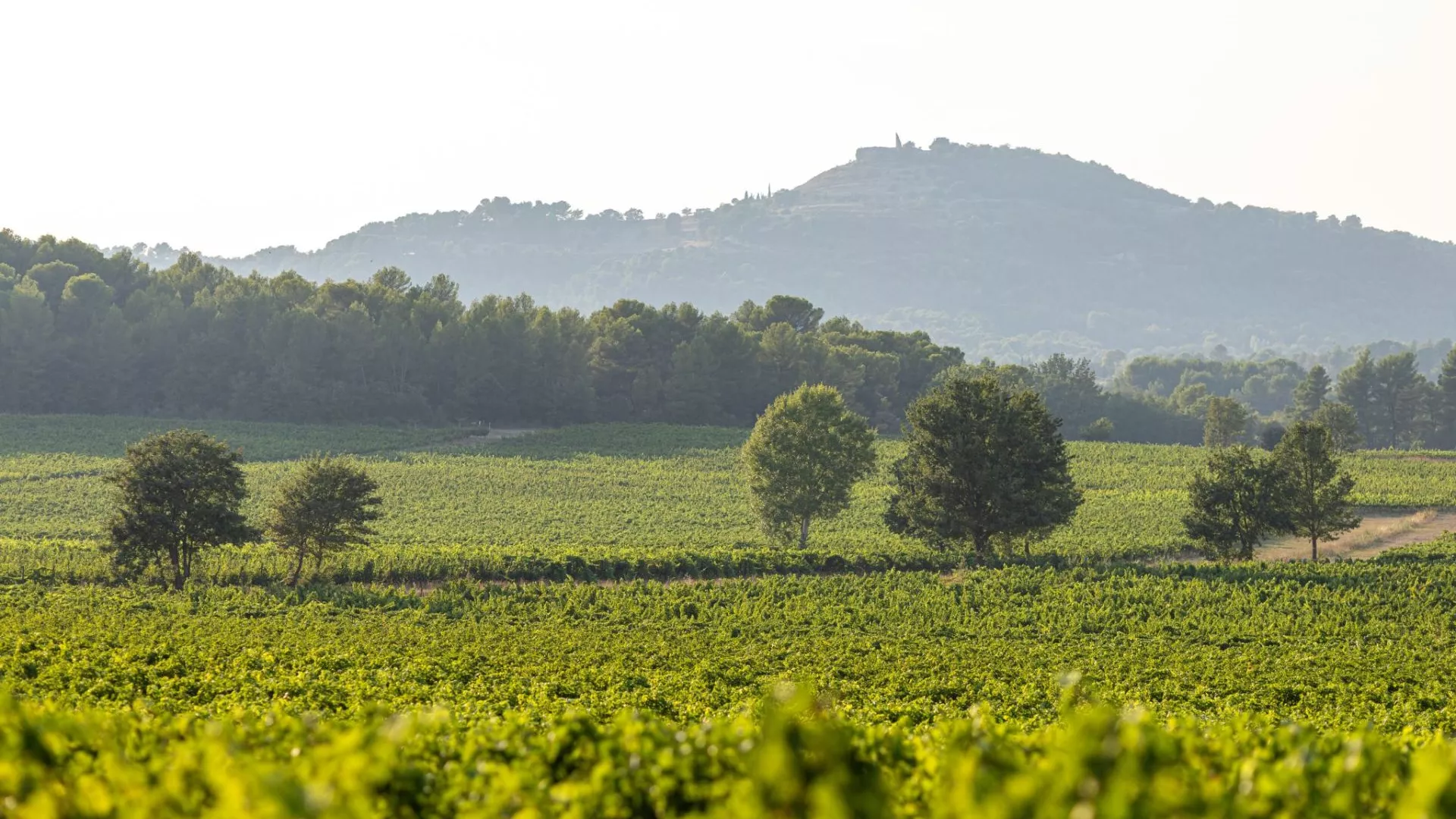 western-provence-destination