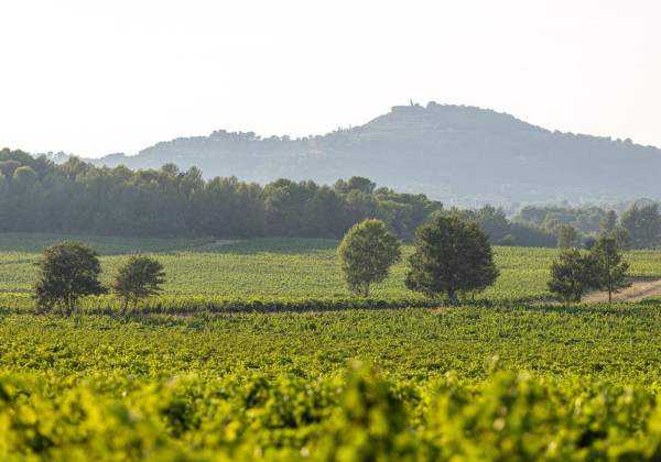 western-provence-destination