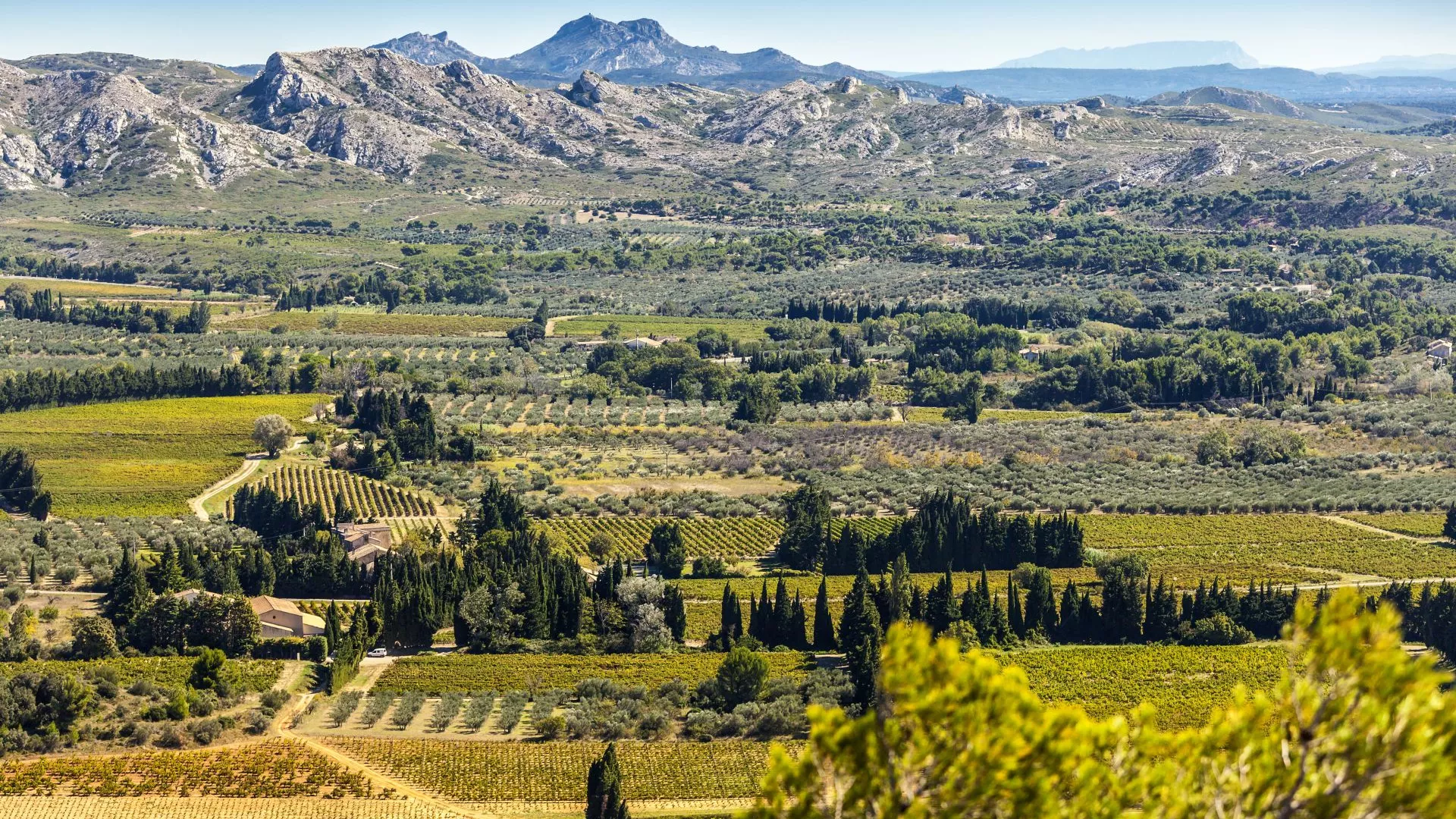 alpilles-destination
