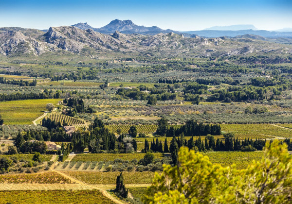 alpilles-destination