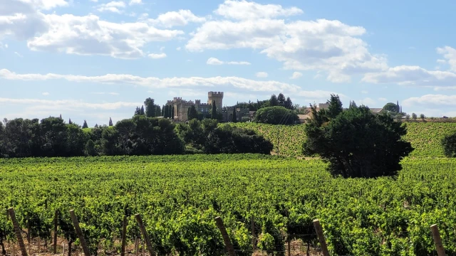  blog-article-destination-vineyards-chateauneuf-du-pape-04