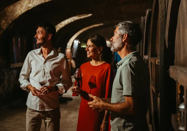 Visites privées de vignobles dans des domaines légendaires