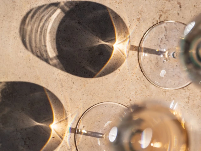 wine-tours-and-viticultural-activities-provence-french-riviera