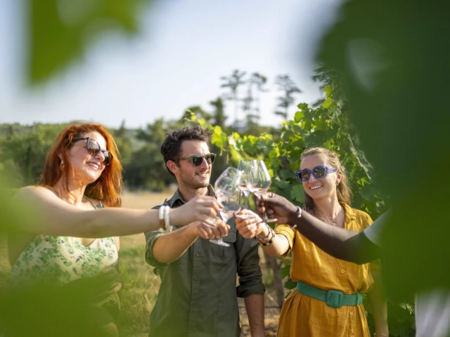 wine-tours-and-viticultural-activities-provence-french-riviera