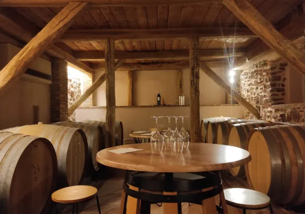wines-spirits-private-tour-5