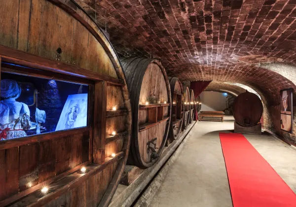wines-spirits-private-tour-7