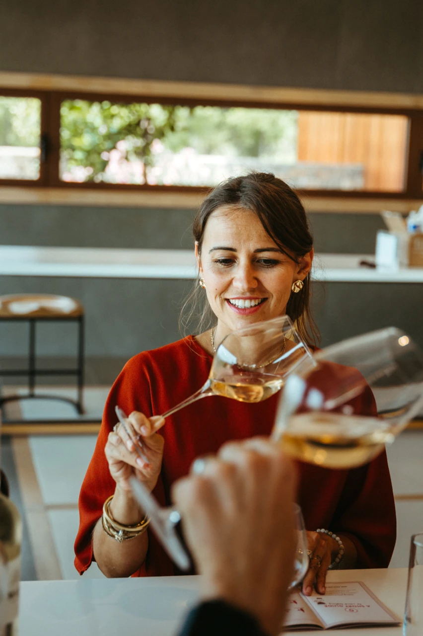 provence-wines-spirits-private-tour