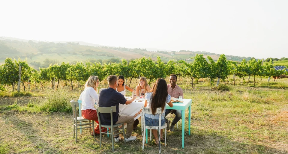 azur-wine-tours-visite-vignoble-nice