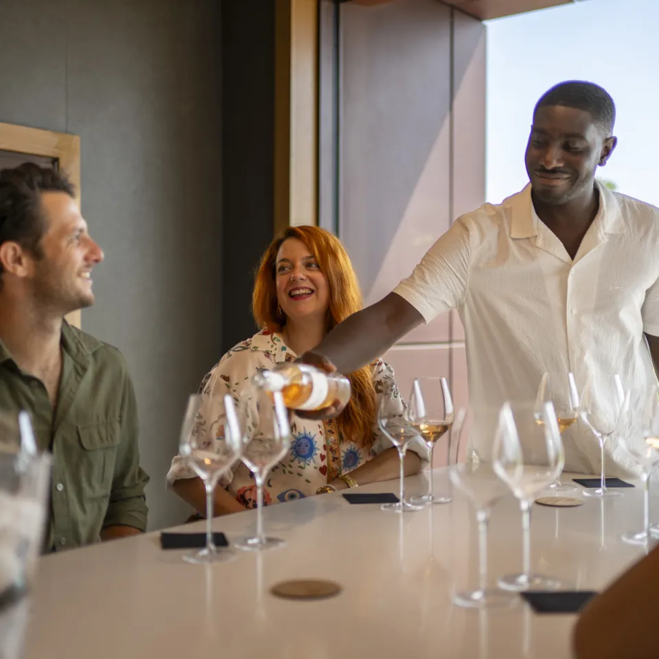 Private Wine Tour in Provence : How to Design a Tailor-Made Experience