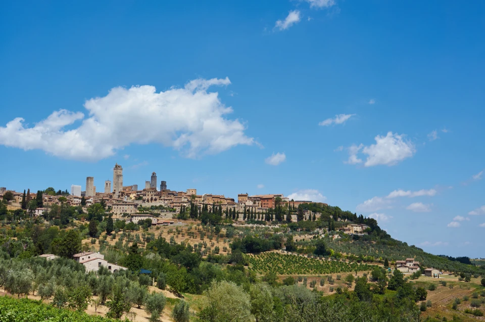 wine-tour-prive-provence