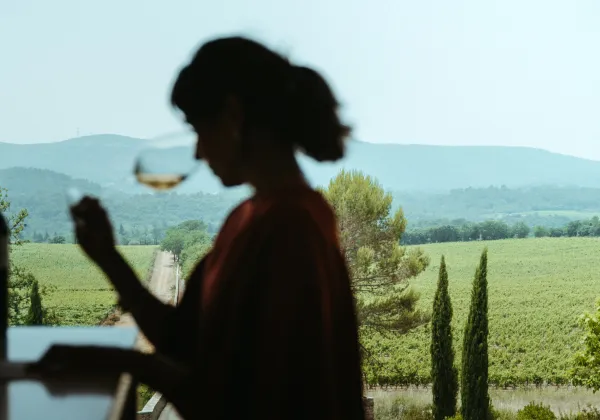 wine-tour-cocoricosun-86
