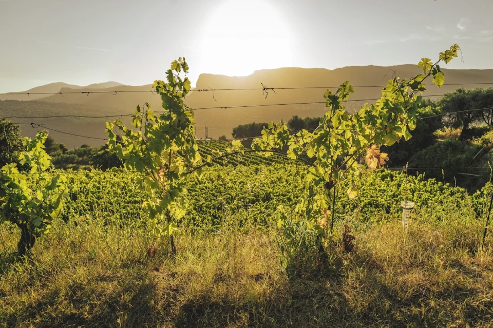 domaine-de-la-source-3
