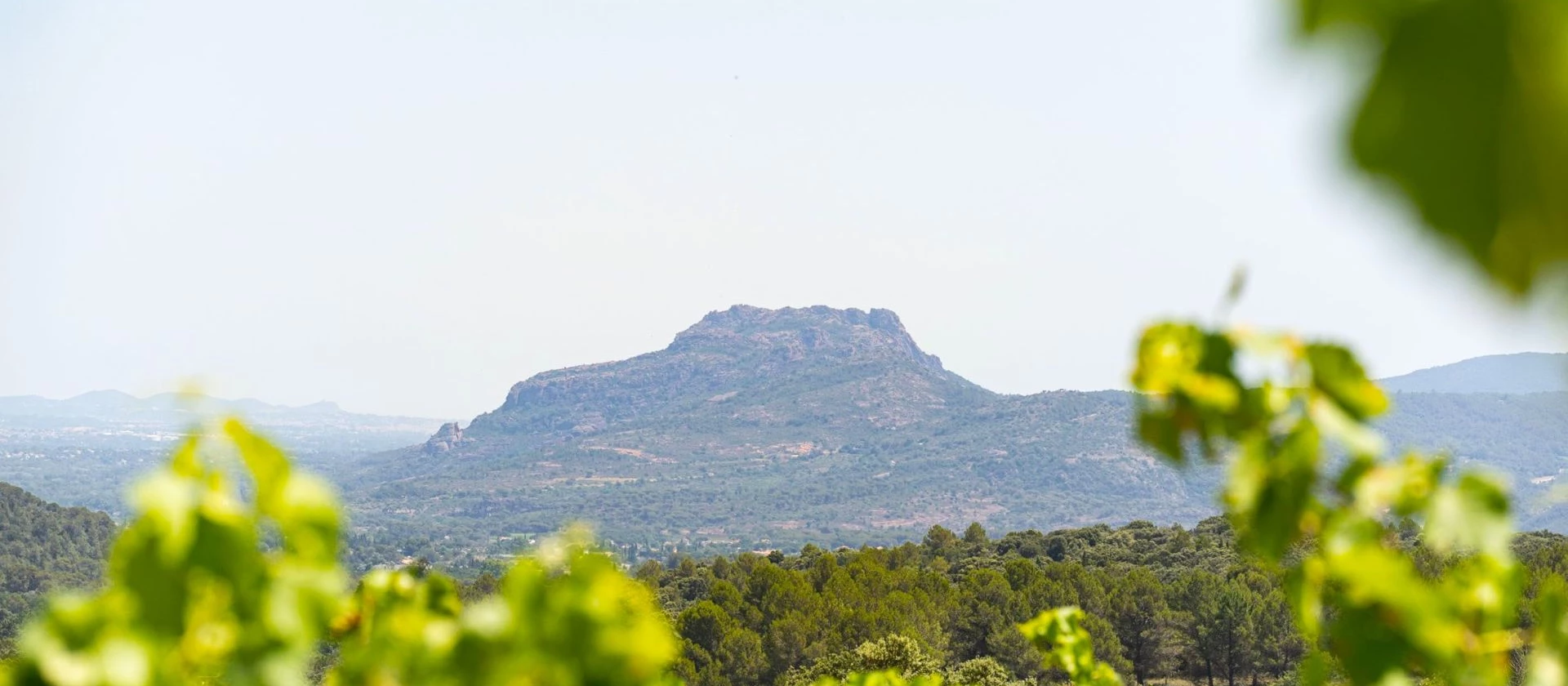 destination-provence-french-riviera