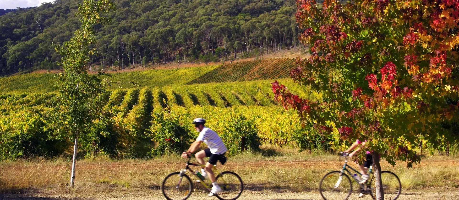 <br />
<b>Warning</b>: Undefined variable $page in <b>/home/azurwinetourscom/public_html/modules/tour/front/fiche-tour.php</b> on line <b>209</b><br />
<br />
<b>Warning</b>: Trying to access array offset on value of type null in <b>/home/azurwinetourscom/public_html/modules/tour/front/fiche-tour.php</b> on line <b>209</b><br />