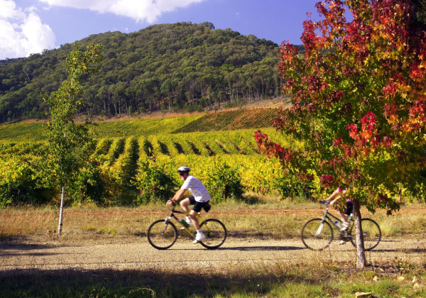 Le Vignoble de Provence à Vélo - Tour Privé