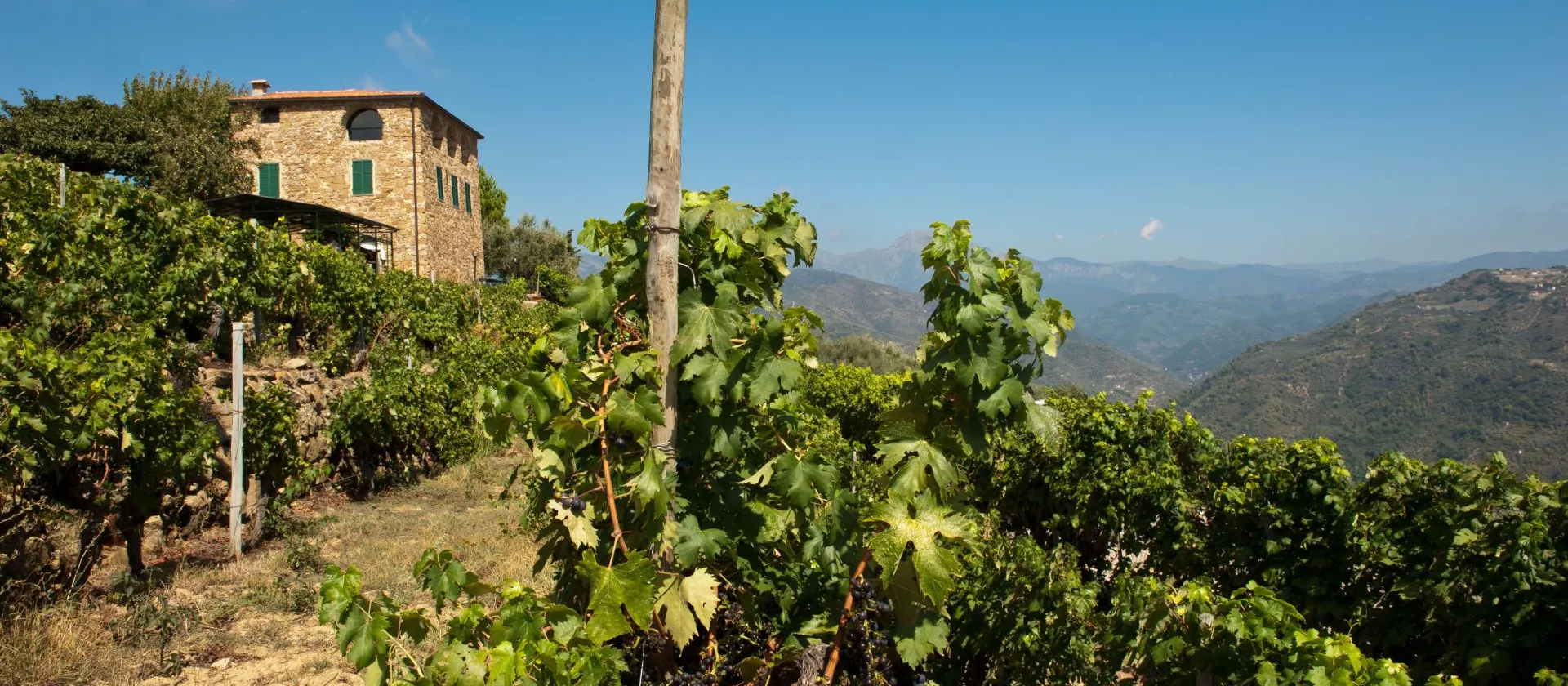 <br />
<b>Warning</b>:  Undefined variable $page in <b>/home/azurwinetourscom/public_html/modules/tour/front/fiche-tour.php</b> on line <b>209</b><br />
<br />
<b>Warning</b>:  Trying to access array offset on value of type null in <b>/home/azurwinetourscom/public_html/modules/tour/front/fiche-tour.php</b> on line <b>209</b><br />
