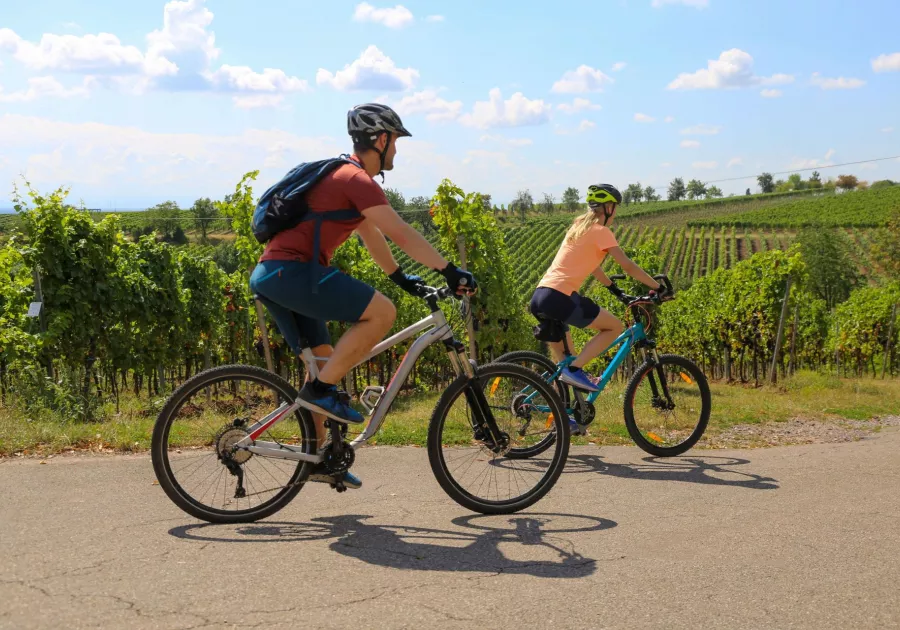 Le Luberon à Vélo - Tour Privé