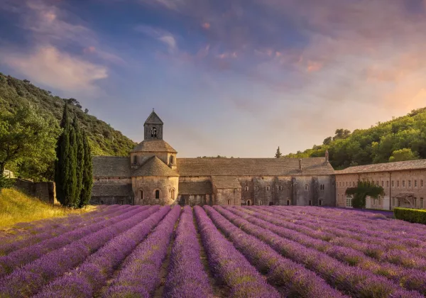 vineyards-luberon-private-bike-wine-tour-02