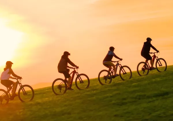 vineyards-luberon-private-bike-wine-tour-04
